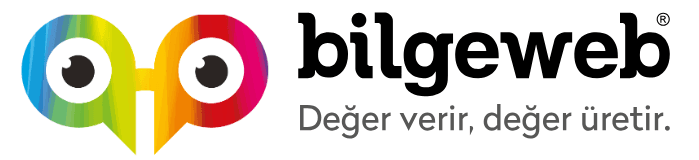 Bilgeweb